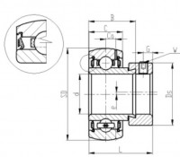 FH/FHR Series Insert Bearings – Eccentric Locking Collar 